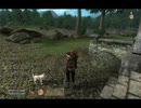 Oblivion　Breton侍武者修行　その15