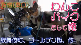 コーギーとモンキー１２５に乗って、新宿（東口）へ向かう。ある依頼主からの依頼を受け、うこぺん探偵による捜索が始まった。（これはフィクションです。実在の人物、場所とは関係がありません）