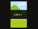 正体は？