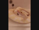 今回はループ集を使って曲を作ってみた。