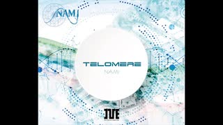 TELOMERE