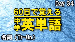 中学英単語を60日で覚えよう Day 34 【名詞（Tr-Un）】 - リスニングで覚える英単語