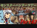 【ゆっくりモンハン】モンスターハンターツアー素材＆アイテム縛りの旅　part43【MHP2G】