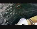 【ダイソーVJ】メジロを初めてランディングしてみた！