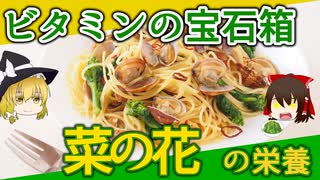 【ゆっくり解説】菜の花の栄養について解説！