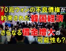 【韓国ニュース】韓国､すでに70兆ウォンの不良債権が約束された経済状態｡今後､さらなる借金増大の可能性も?【ゆっくり解説】