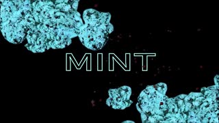 MINT◆歌ってみた【ぎゅうたろす】