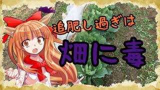 【百姓物語】追肥し過ぎは畑に毒～ニートの家庭菜園日記～【７日目】