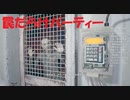 #22【バイオハザード7】罠だらけのパーティーはしんどい初見プレイ【BIOHAZARD7 resident evil】