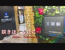【歌ってみた】咲きほこる花に…【明菜さん】