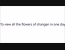 To view all the flowers of changan in one day