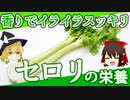 【ゆっくり解説】セロリの栄養について解説！
