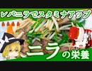 【ゆっくり解説】ニラの栄養について解説！