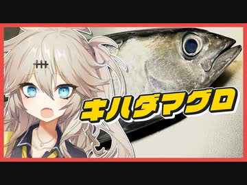 【春日部つむぎ】人はいずれ死ぬのでカロリーゼロ【キハダマグロ】【ボイロキッチン】