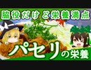 【ゆっくり解説】パセリの栄養について解説！