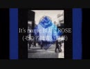 BLUE ROSE