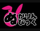 ぬかぴ参戦記録　生足たる異端