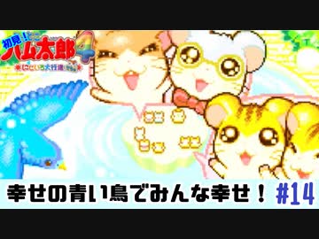 青い羽根でしあわせ～！【ハム太郎4】＃14