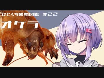ひとくち動物図鑑　#22　オケラ　[VOICEROID解説]
