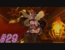 【DRAGON QUEST10 オフライン】ほぼ初見！ドラゴンクエスト10実況プレイ Part29