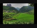 【NNIオリジナル】Outback