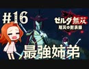 【最強の姉弟】アッカレ砦の戦い【ゼルダ無双 厄災の黙示録】Part16