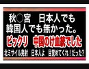 22/10/13夜～夜夜　今の皇室に中国血統も入り込んでいた。そんな皇室は要らない。