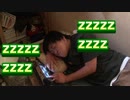 お昼寝中 taking a nap