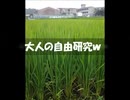 のまさんち「【知らなかった！】 夏休み自由研究？　稲の『穂』はここから来るのか！一夜城だったｗ」