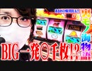 ｙｔｒが裏モノになってしまった海物語でヒリついた結果【SEVEN'S TV #779】