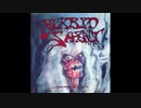 Morbid Saint - Damien