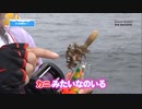 りさちが釣った生き物（タコ以外）