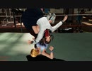 DOA6 Tina KO Hitomi(School Uniform)
