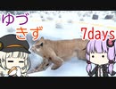 まだ帰れないゆづきず7days #6 【7_days_to_die】