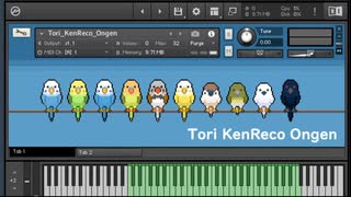 【自作DTM音源】演奏すると小鳥たちがマネして歌ってくれる鍵盤リコーダー音源