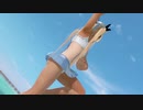 【DoaX3/マリー】 フォトパラダイス/レイファン・太極拳ポーズ/水着コンテストファミ通賞(マリー)
