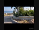 Fun goofy wave and trimming plate