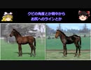 【ダービースタリオン04】攻略 #２【牝馬３冠なるか!?】