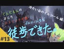 【ダークソウル3】ぶらりロスリックの旅 part.13 ～冷たい谷のイルシール～