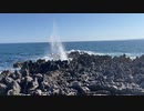 宮城県気仙沼岩井崎の潮吹岩　2022　1001