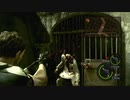 #2 アクションが世界一苦手な俺がバイオハザード5