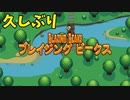 【1.5倍速実況】久しぶりに鳥のローグライク【ブレイジングビークス】