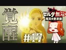 【ゼルダ、覚醒】ハテノ砦の戦い【ゼルダ無双 厄災の黙示録】Part17