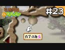 【実況】牧場物語Oh!ワンダフルライフを遊ぶいも#23