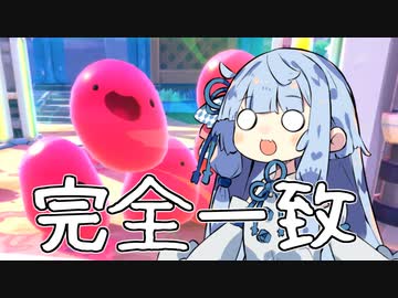 実質葵ちゃん育成ゲーや！！！【Slime Rancher 2】