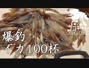 ココキャン 第146話『爆釣Mission！イカを釣りあげろ』