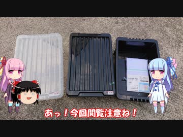 琴葉姉妹と行く釣行記録（暇潰し編part22）