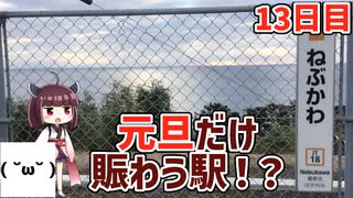 【13日目】元旦だけ賑わう駅へ！？【東北きりたんと行くJR東日本在来線乗りつぶしの旅】13日目（2020/1/1）