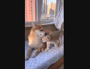 お互いをよく知る