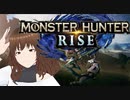 【モンハンライズサンブレイクPC】今野良でトレンドの立ち回りを教えます！これで精神的ダメージを与えられる！【VTuber】